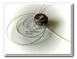 Collection Arabesque